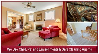 Carpet, Area Rug and Oriental Rug Cleaning Chicago