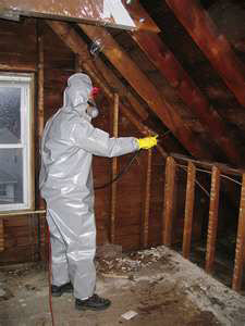 Mold Remediation