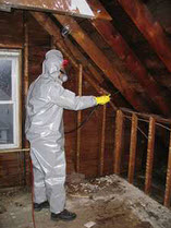 Chicago Mold Remediation Specialist