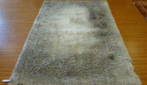 Chicago Area Rug Cleaning