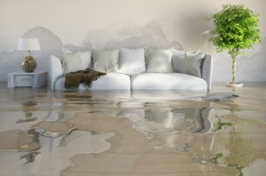 Water Damage and Mold